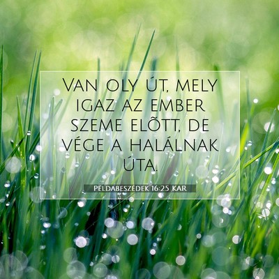 Példabeszédek 16:25 KAR Bibliai verskép