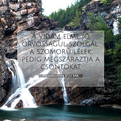 Példabeszédek 17:22 KAR Bibliai verskép