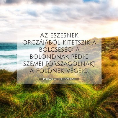 Példabeszédek 17:24 KAR Bibliai verskép