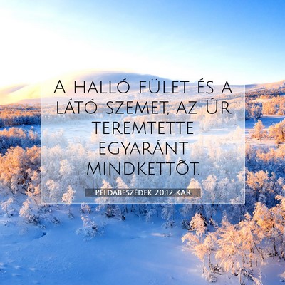 Példabeszédek 20:12 KAR Bibliai verskép