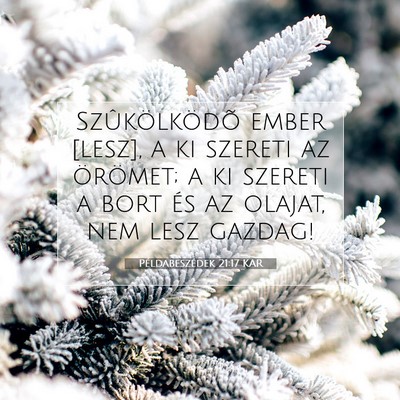 Példabeszédek 21:17 KAR Bibliai verskép