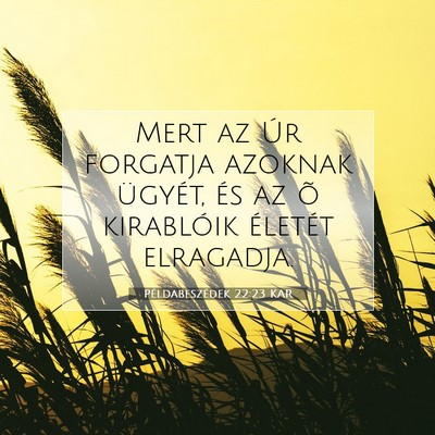 Példabeszédek 22:23 KAR Bibliai verskép