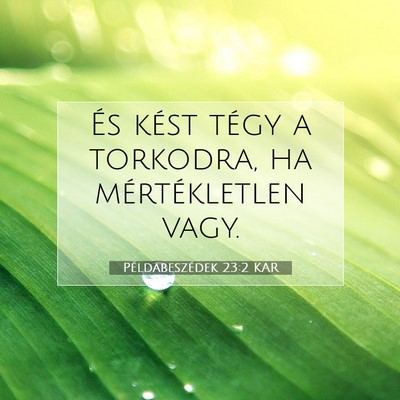 Példabeszédek 23:2 KAR Bibliai verskép