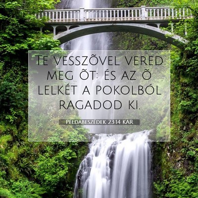 Példabeszédek 23:14 KAR Bibliai verskép