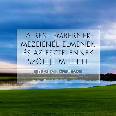 Példabeszédek 24:30 KAR Bibliai verskép