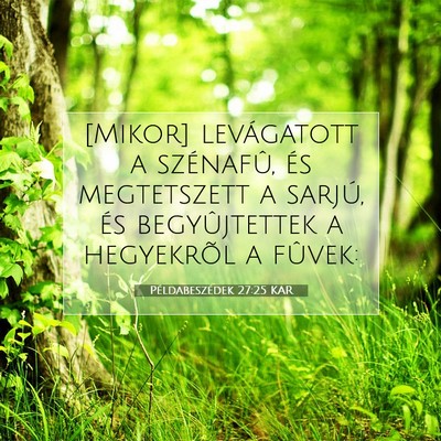 Példabeszédek 27:25 Bibliai vers magyarázata
