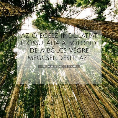 Példabeszédek 29:11 KAR Bibliai verskép