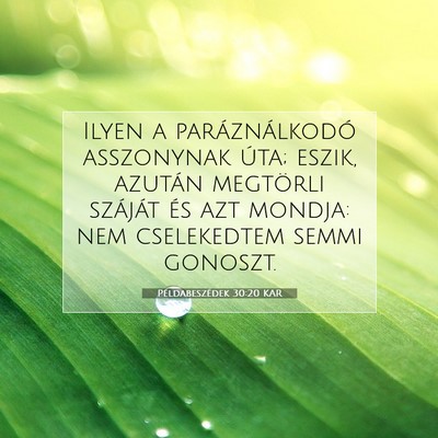 Példabeszédek 30:20 KAR Bibliai verskép