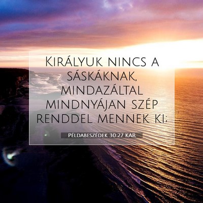 Példabeszédek 30:27 KAR Bibliai verskép