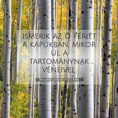 Példabeszédek 31:23 KAR Bibliai verskép