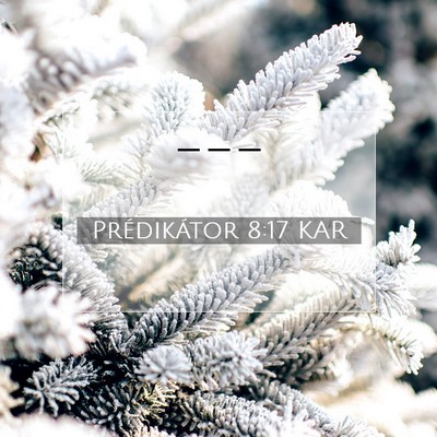 Prédikátor 8:17 KAR Bibliai verskép