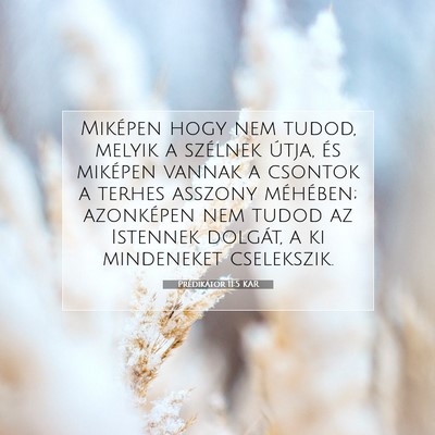Prédikátor 11:5 KAR Bibliai verskép