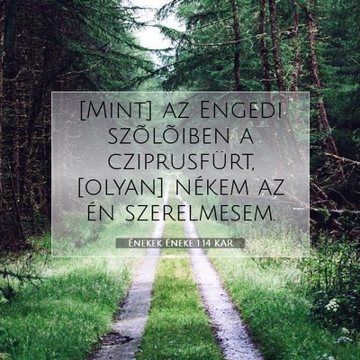 Énekek Éneke 1:14 Bibliai vers magyarázata