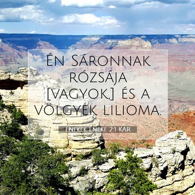 Énekek Éneke 2:1 Bibliai vers magyarázata