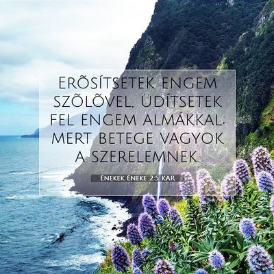 Énekek Éneke 2:5 Bibliai vers magyarázata