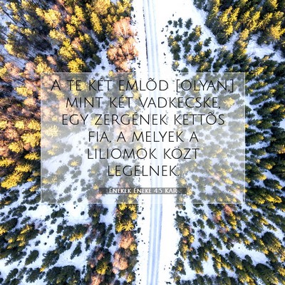 Énekek Éneke 4:5 Bibliai vers magyarázata