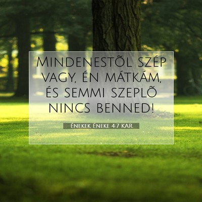 Énekek Éneke 4:7 Bibliai vers magyarázata