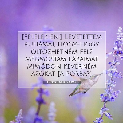 Énekek Éneke 5:3 Bibliai vers magyarázata