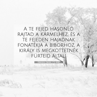 Énekek Éneke 7:5 Bibliai vers magyarázata
