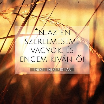Énekek Éneke 7:10 Bibliai vers magyarázata