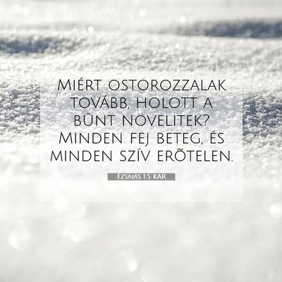 Ézsaiás 1:5 Bibliai vers magyarázata