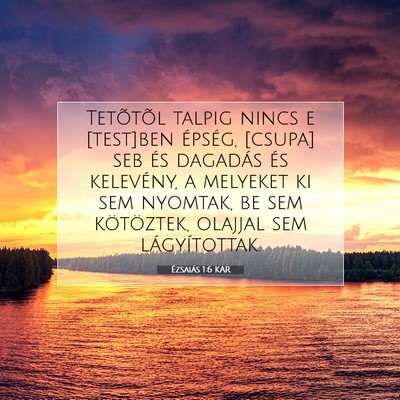 Ézsaiás 1:6 Bibliai vers magyarázata