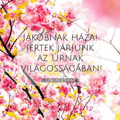 Ézsaiás 2:5 KAR Bibliai verskép