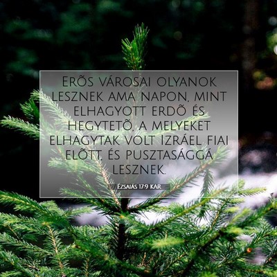 Ézsaiás 17:9 KAR Bibliai verskép