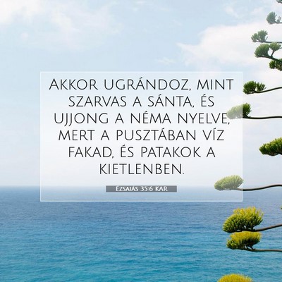 Ézsaiás 35:6 Bibliai vers magyarázata