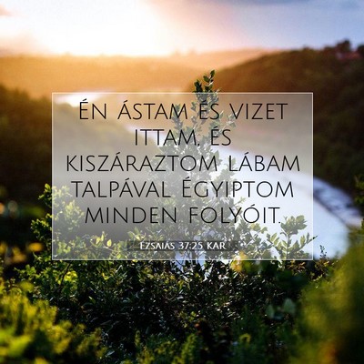 Ézsaiás 37:25 KAR Bibliai verskép