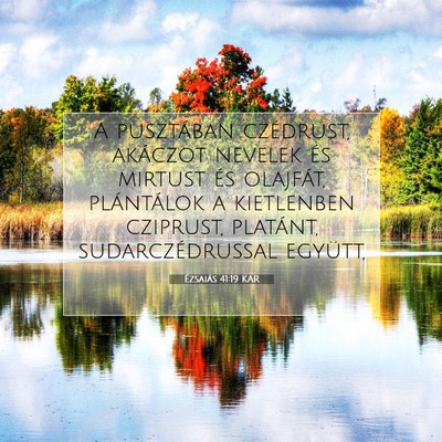 Ézsaiás 41:19 KAR Bibliai verskép