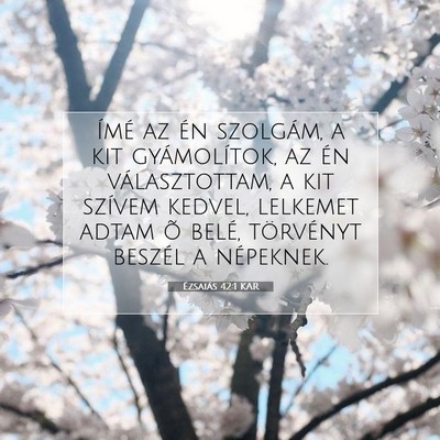 Ézsaiás 42:1 KAR Bibliai verskép