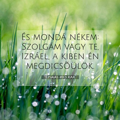 Ézsaiás 49:3 KAR Bibliai verskép