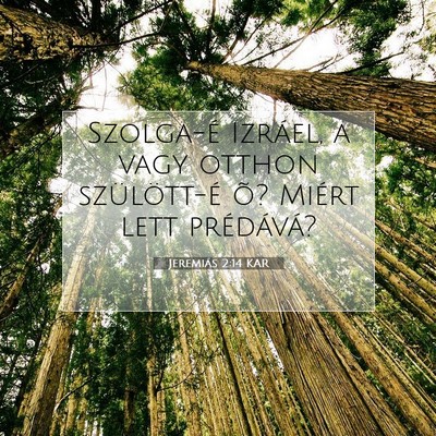 Jeremiás 2:14 Bibliai vers magyarázata