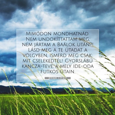 Jeremiás 2:23 Bibliai vers magyarázata