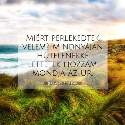 Jeremiás 2:29 Bibliai vers magyarázata