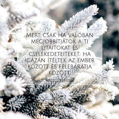 Jeremiás 7:5 KAR Bibliai verskép