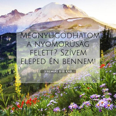 Jeremiás 8:18 KAR Bibliai verskép