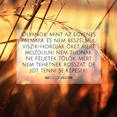 Jeremiás 10:5 KAR Bibliai verskép