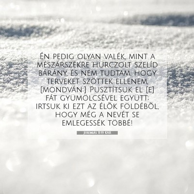 Jeremiás 11:19 KAR Bibliai verskép