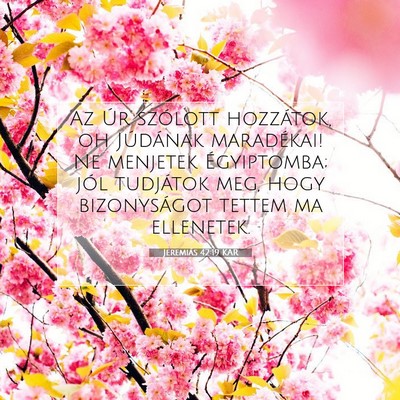 Jeremiás 42:19 KAR Bibliai verskép