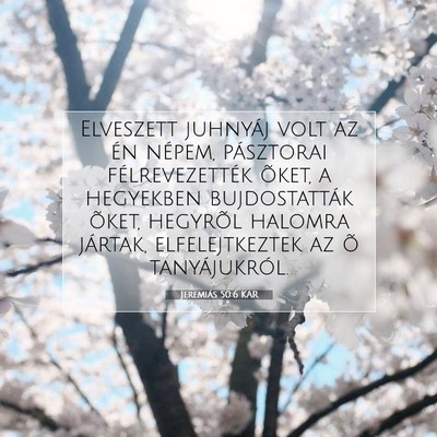 Jeremiás 50:6 KAR Bibliai verskép