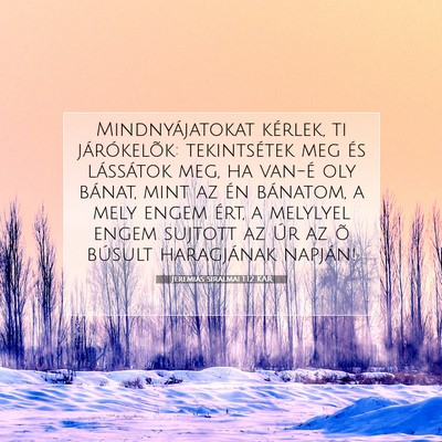 Jeremiás siralmai 1:12 Bibliai vers magyarázata