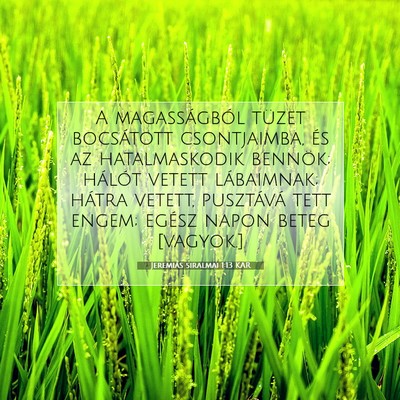 Jeremiás siralmai 1:13 Bibliai vers magyarázata