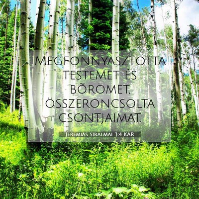 Jeremiás siralmai 3:4 KAR Bibliai verskép