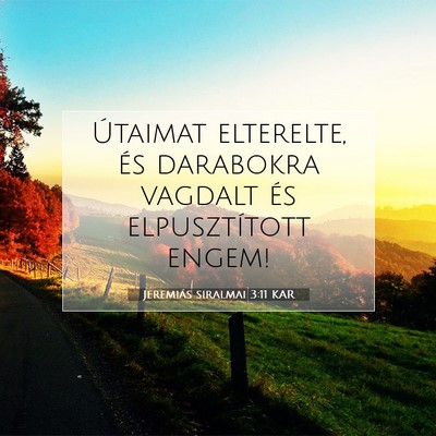 Jeremiás siralmai 3:11 KAR Bibliai verskép