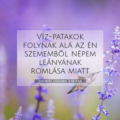 Jeremiás siralmai 3:48 KAR Bibliai verskép