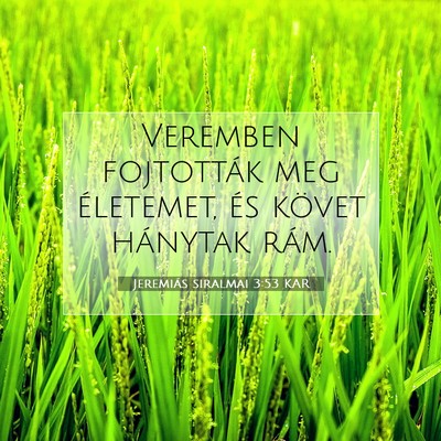 Jeremiás siralmai 3:53 KAR Bibliai verskép
