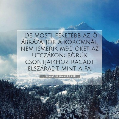 Jeremiás siralmai 4:8 KAR Bibliai verskép