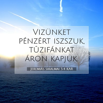 Jeremiás siralmai 5:4 KAR Bibliai verskép